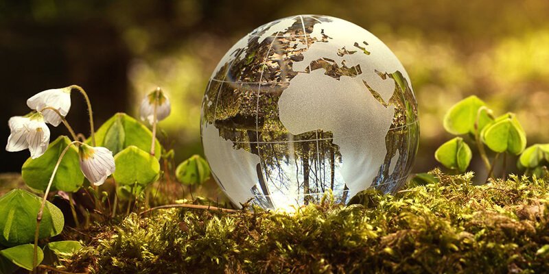 كيف تكتب قصة بيئية ؟