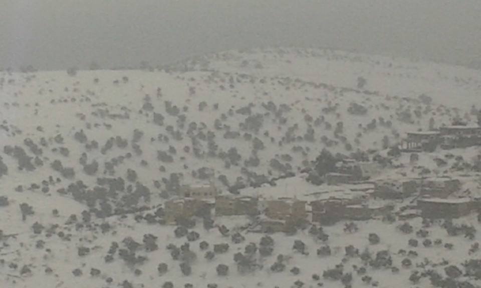 10407478_321936611343645_5870914863966869723_n