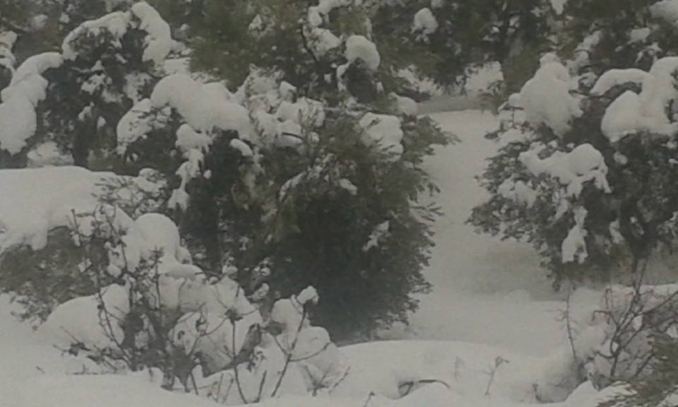 10407922_321936654676974_4429304322336289163_n