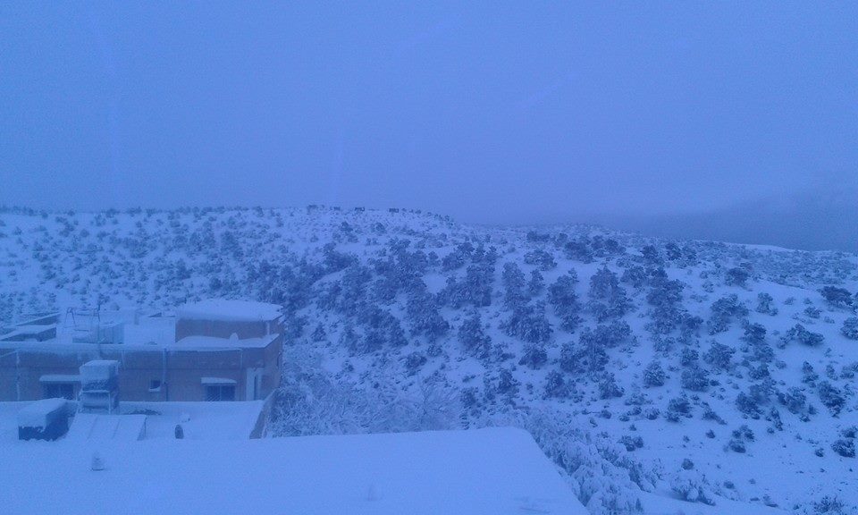 10906357_321743328029640_510536581200614217_n