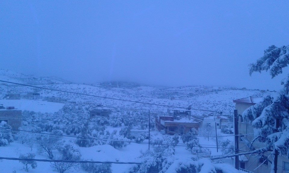 994447_321743404696299_7196781267838520482_n