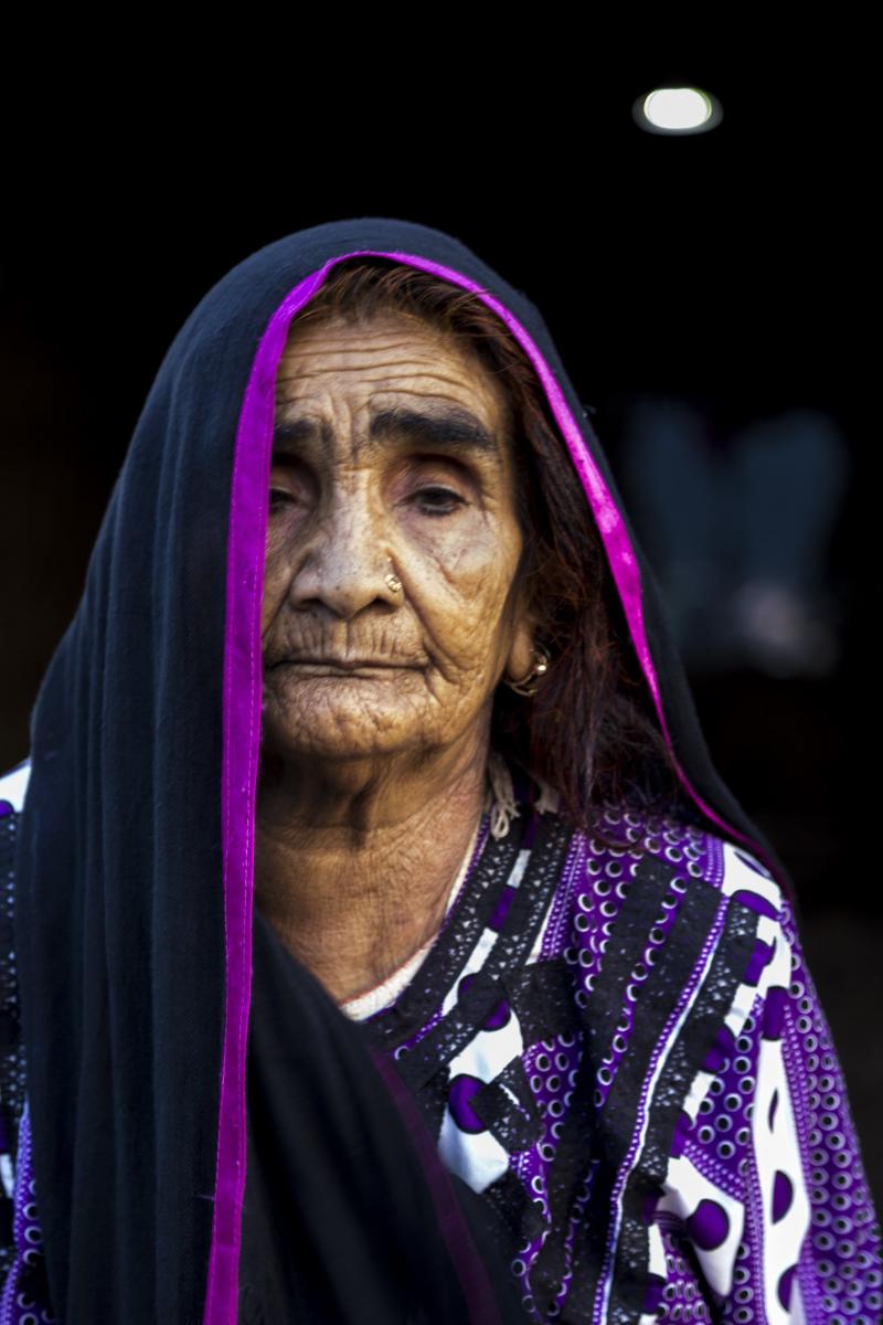 وزهرة في عريشتها تصوير محمد زكريا