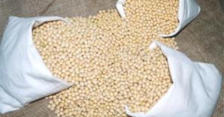 الحليب والجبن من فول الصويا..فيديو