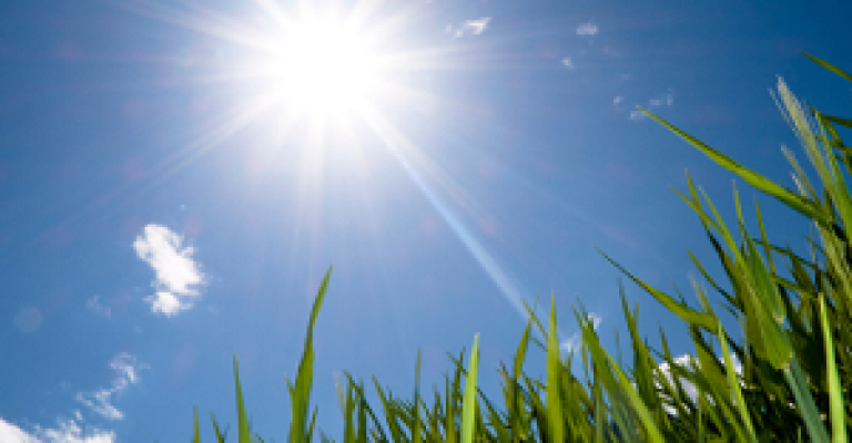 طقس صيفي اليوم طقس صيفي اليوم