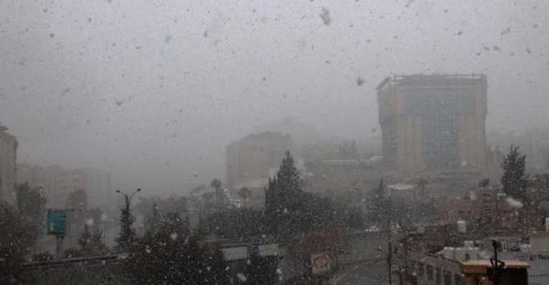 الزائر الأبيض في عمان الزائر الأبيض في عمان