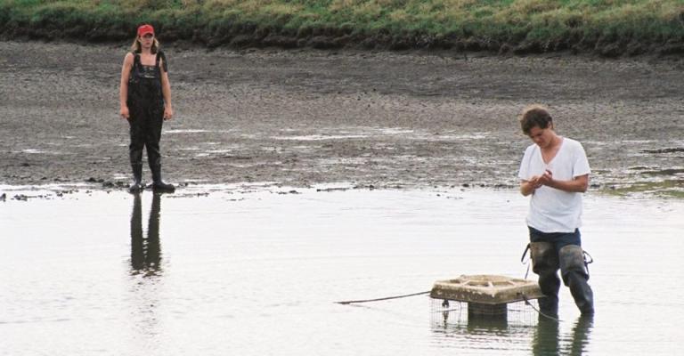 فيلم "قصص إطلاق نار" في شومان