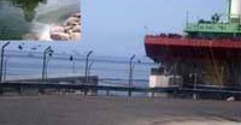 Authorities rush to contain oil spill near Aqaba