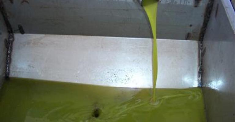 (بالفيديو).. الفايز: عمان تغرق بزيت الزيتون الفاسد