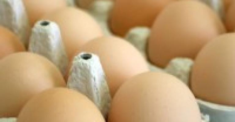 الاردنيون مكتفون ذاتياً من البيض الاردنيون مكتفون ذاتياً من البيض