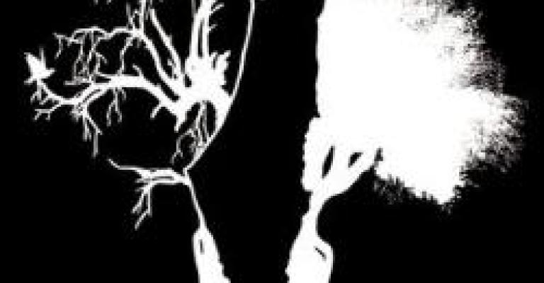 حشد في ذكرى النكبة:حق العودة ورفض المفاوضات غير المباشرة