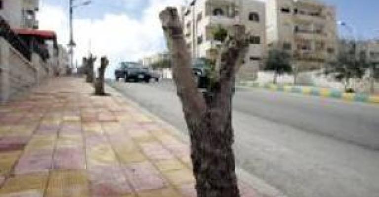 الاعتداء على الأرصفة يزداد والمشاة يهجرونها إلى الشارع (فيديو)