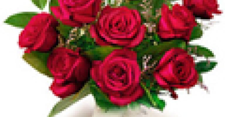 تهنئة إلى السيدة هديل تايه تهنئة إلى السيدة هديل تايه