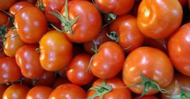 Wholesale market fees on tomato, watermelon decreased 