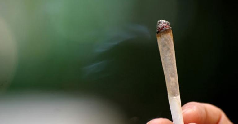 دعوة " لجلسة تحشيش مع الحكومة" دعوة " لجلسة تحشيش مع الحكومة"