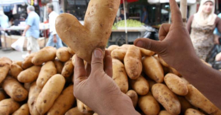 مزارعو بطاطا يهددون بإلقاء إنتاجهم أمام مبنى وزارة الزراعة (فيديو)