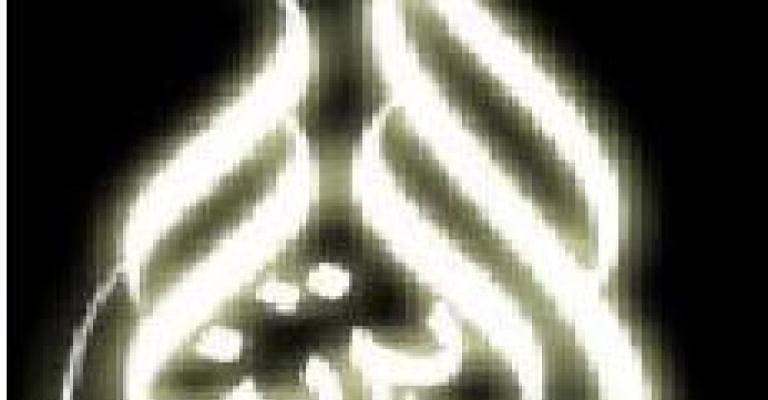 إطلاق موقع "ديرتنا"