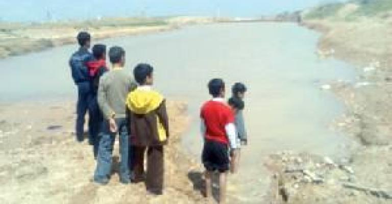 تجمع المياه المالحة في الأغوار مصدر إزعاج للأهالي 