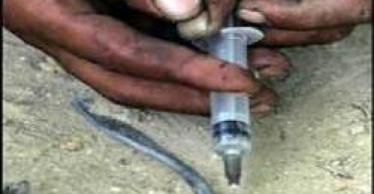 مليون حبة كبتاجون مليون حبة كبتاجون