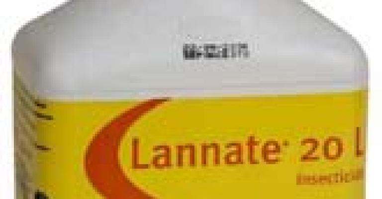 وفاة سيدة حامل تسمما في اللانيت وفاة سيدة حامل تسمما في اللانيت