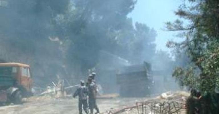 حريق يأتي على أشجار حرجية بعجلون حريق يأتي على أشجار حرجية بعجلون