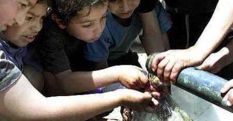 تواصل الاحتجاجات على انقطاع المياه