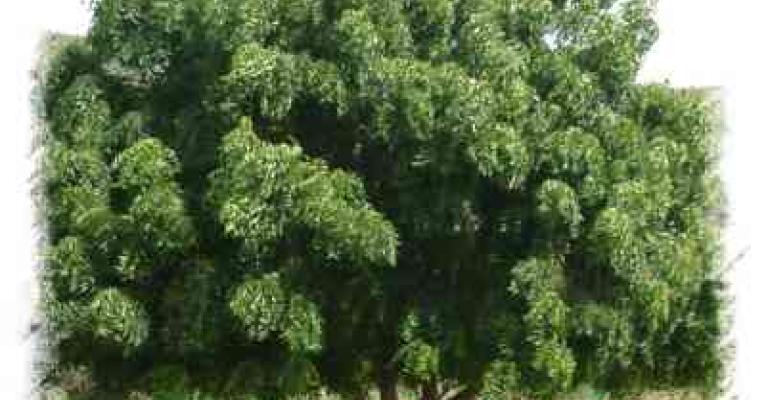 الوجه( الخضاري) للأردن الوجه( الخضاري) للأردن