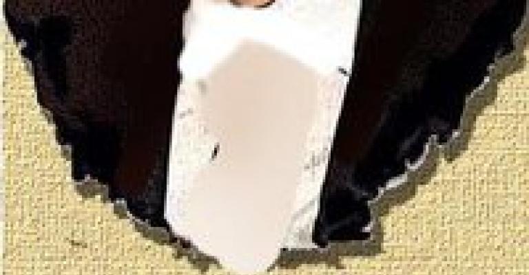 يسقط سمير الرفاعي!!