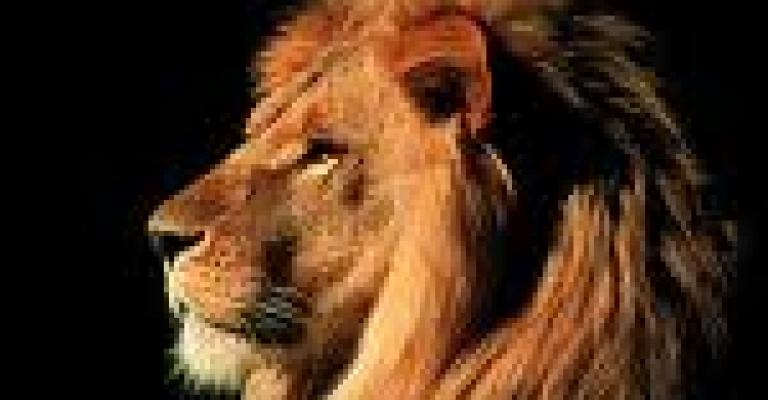 هذه حكاية العرب