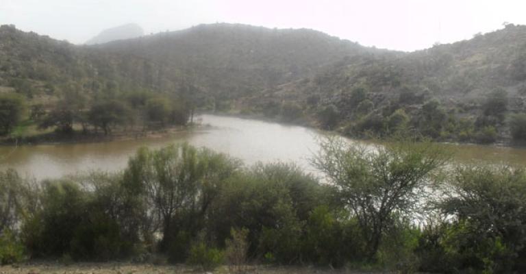 مواطنون يشكون من ملوحة مياه الكرامة..والضخ تجريبي