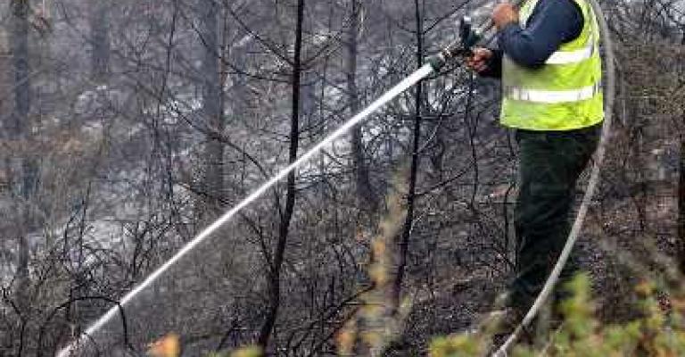 مشاركة أردنية بإخماد حريق الكرمل مشاركة أردنية بإخماد حريق الكرمل
