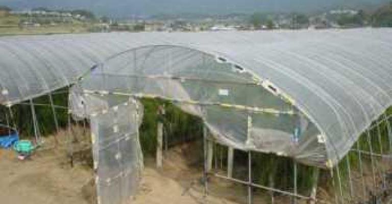 رفع أسعار المحروقات وآثاره على القطاع الزراعي رفع أسعار المحروقات وآثاره على القطاع الزراعي