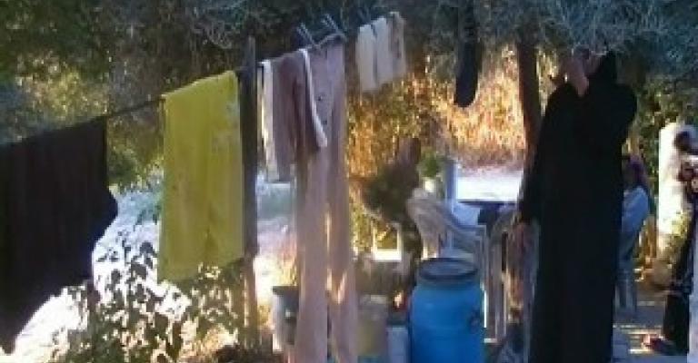 شرب المياه حق يتصارع عليه سكان غور الأردن شرب المياه حق يتصارع عليه سكان غور الأردن