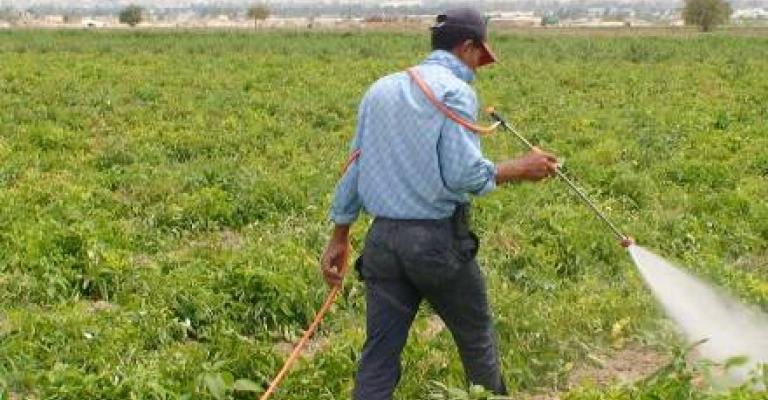 اتحاد المزارعين يخاطب رئيس الوزراء لمنع افلاسه اتحاد المزارعين يخاطب رئيس الوزراء لمنع افلاسه