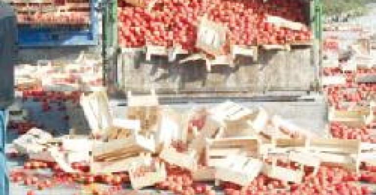 Oran: Tomato prises to increase temporarily Oran: Tomato prises to increase temporarily