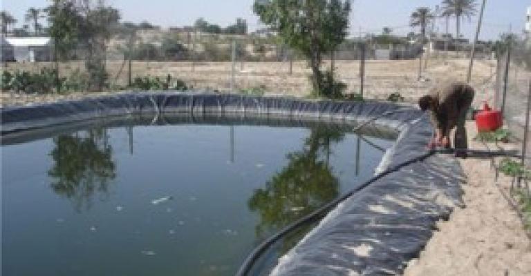 الاشغال الشاقة لقاتل عجوز سبعينية و15 عام لقاتل طالب جامعي