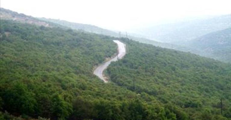 قطع 300 شجرة من غابات برقش يهدد المساحة الخضراء قطع 300 شجرة من غابات برقش يهدد المساحة الخضراء