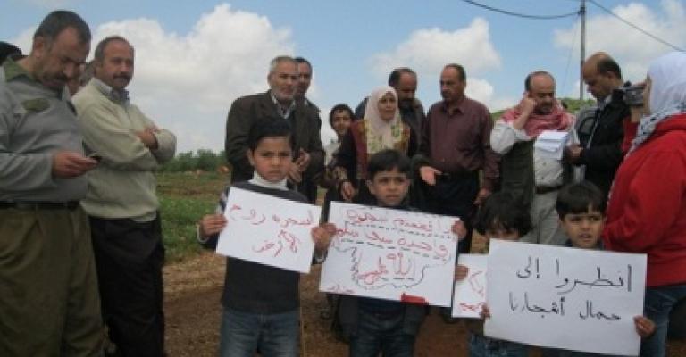 300 شجرة معمرة تواجه حكم "الإعدام" 300 شجرة معمرة تواجه حكم "الإعدام"