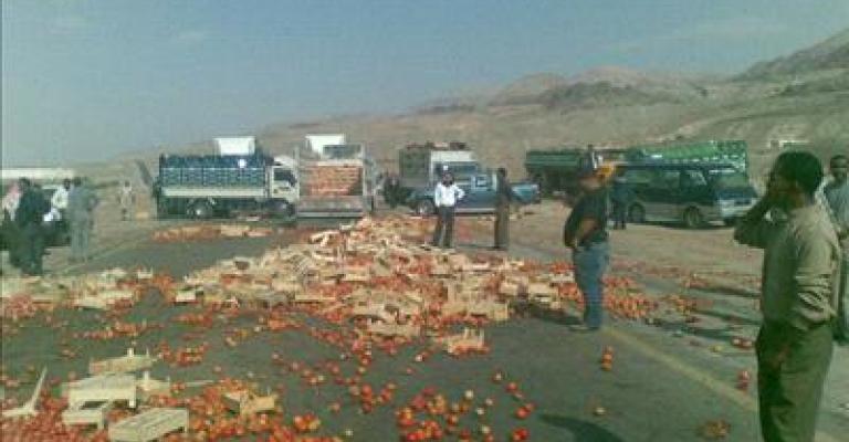 المزارعون يعانون خسائر فادحة جراء انخفاض أسعار البندورة المزارعون يعانون خسائر فادحة جراء انخفاض أسعار البندورة