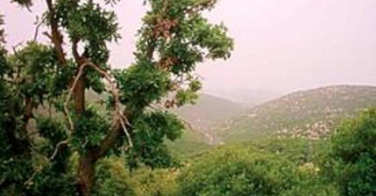 حتى لا تذهب مواردنا للذين لا يقدمون للعالم شيئا حتى لا تذهب مواردنا للذين لا يقدمون للعالم شيئا