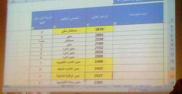 الساكت: 205 الف مستفيد من الهيكلة و6 الالف متضرر
