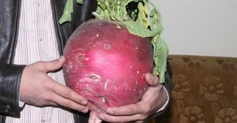 الشكل يطيح بطعم المزروعات المهرمنة والمزارعون يهربون إلى “البسطات” هربا من الرقابة الشكل يطيح بطعم المزروعات المهرمنة والمزارعون يهربون إلى “البسطات” هربا من الرقابة