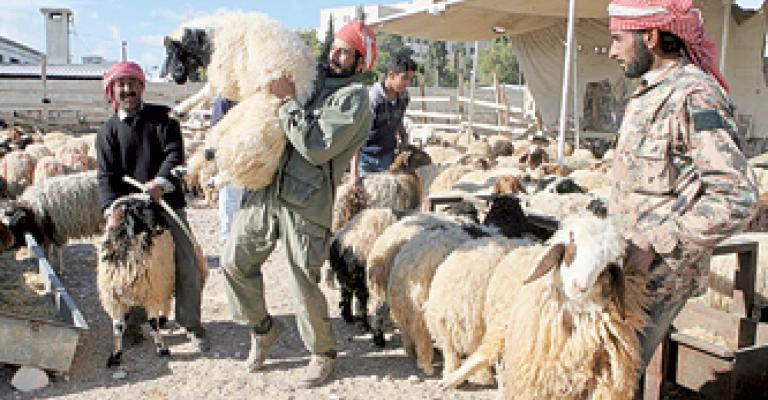 200 مخالفة لغير الملتزمين باسعار الاضاحي 200 مخالفة لغير الملتزمين باسعار الاضاحي