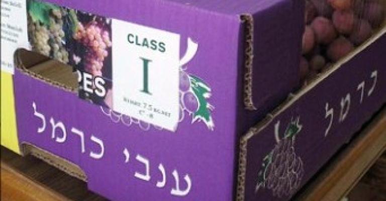 وزير الزراعة "لعمان نت": الخضار تأتي من السلطة وليس من إسرائيل وزير الزراعة "لعمان نت": الخضار تأتي من السلطة وليس من إسرائيل