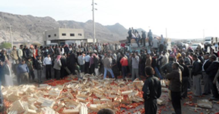 مزارعو الأغوار الجنوبية يعتصمون ضد "رخص" البندورة مزارعو الأغوار الجنوبية يعتصمون ضد "رخص" البندورة