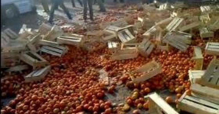 قرشان: دعم حكومي للمزارع لكيلو البندورة المباع للمصنع