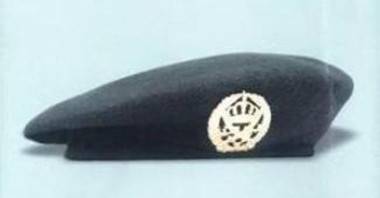 المتقاعدون العسكريون يقدمون طلب ترخيص حزبهم المتقاعدون العسكريون يقدمون طلب ترخيص حزبهم