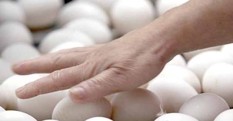 هل يهجر الأردنيون طبق البيض لارتفاع أسعاره! هل يهجر الأردنيون طبق البيض لارتفاع أسعاره!