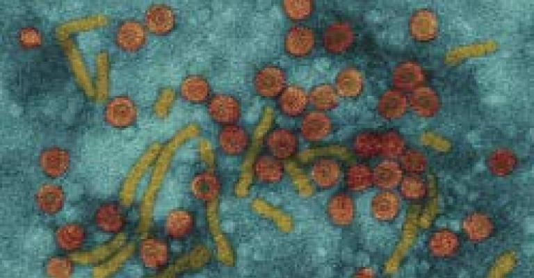 خزانات مياه ملوثة تنشر الكبد الوبائي a” بين طلبة المدارس