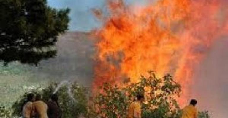 مزارعو وادي الأردن يقاضون الحكومة وإسرائيل