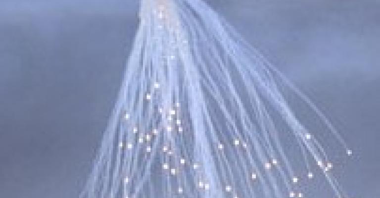 إسرائيل تقصف البيئة الأردنية بالقنابل الفسفورية